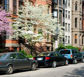 Spring Street Sweeping